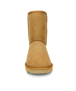 Women's UGG Premium Classic Short -UGG Bay uggshort2 f5a513a5 9285 4b6f a9d6 0c083e45f7b9