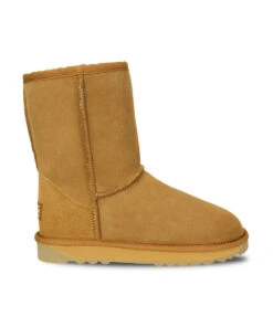 Women's UGG Premium Classic Short -UGG Bay uggshort8 cd1b98e2 de7a 4345 9eba a7b1416bf33d
